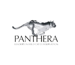 Panthera